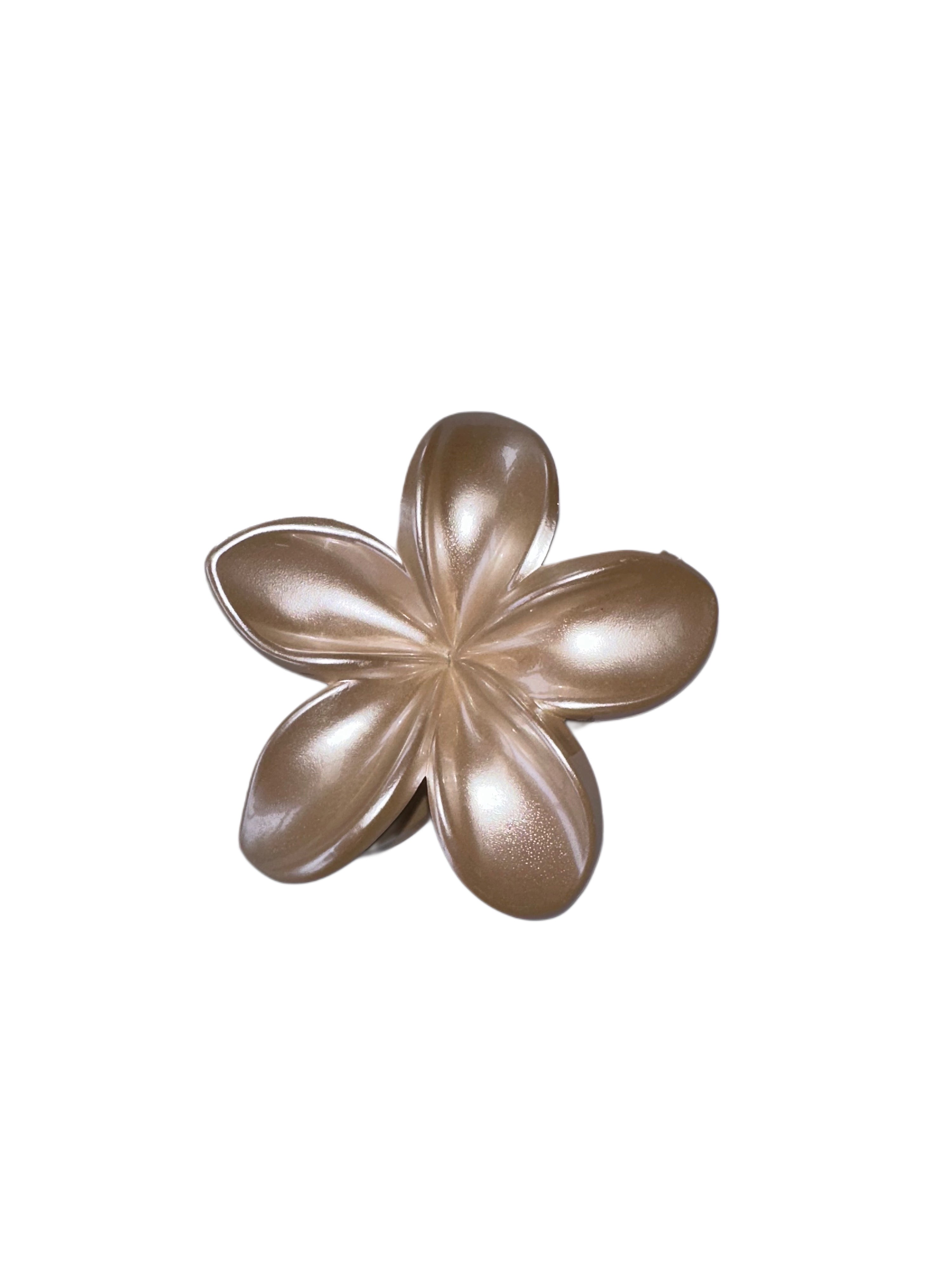 Caramel Flower