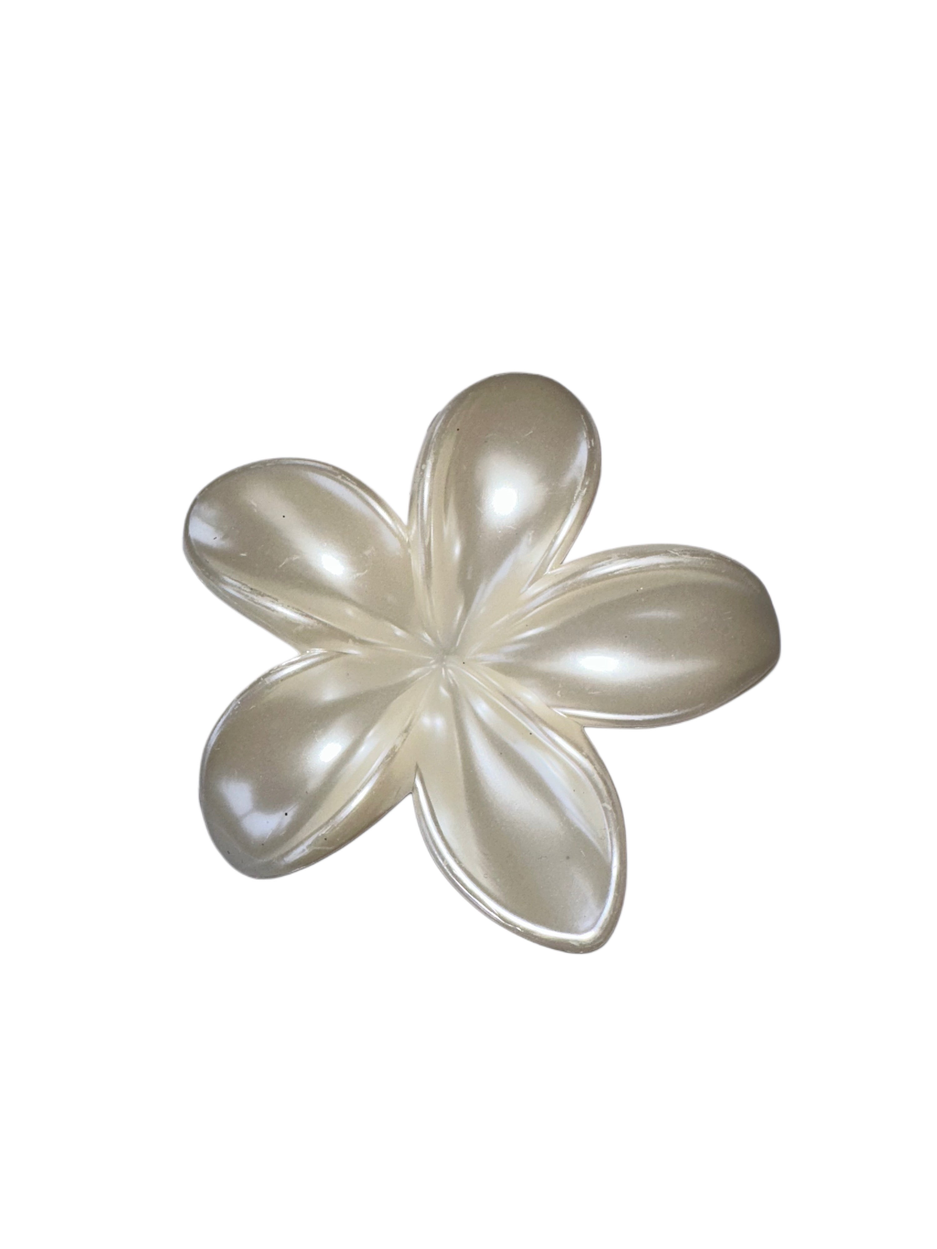 Heavenly Pearl Flower